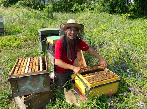 peakfarmさんの伊予西条イタリアンシリーズ