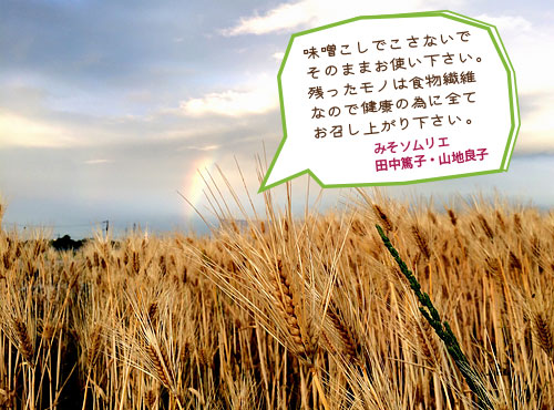 乙女みそさんの素材のはだか麦