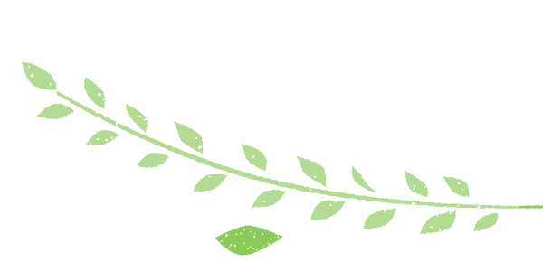 小松おあしす市場の草