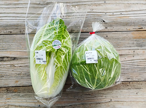 西条産の冬野菜各種(大根・キャベツ・白菜など)